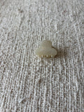 Hair clip - shell